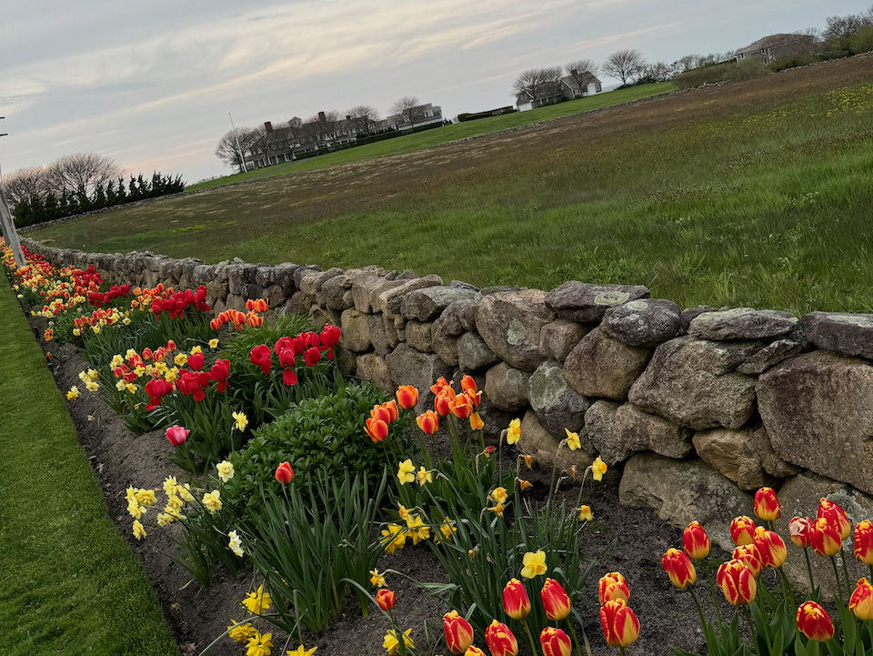 Flowers Along Wall